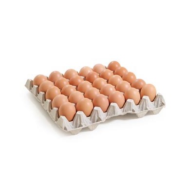 53g+ Oeufs FR + NL Ponte au sol daté...